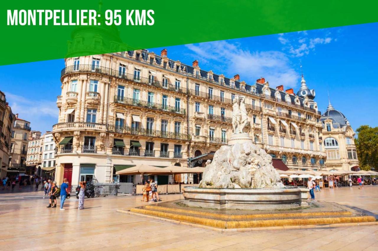 Ferienwohnung Au Coeur Des Platanes - Parking Gratuit Sous-Terrain - Clim - Balcon Avignon Exterior foto